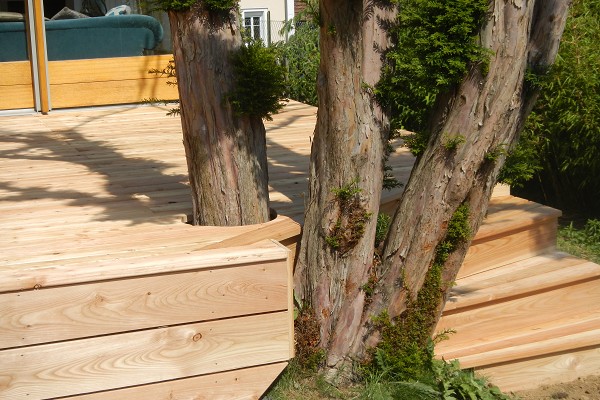 Terrasses en bois